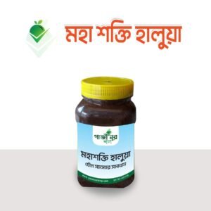 মহা শক্তি হালুয়া (Maha Shokti Halwa) – শক্তি ও স্বাদের ঘরোয়া উপহার